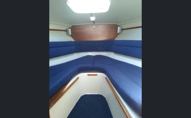 Bella Falcon 26-kuva-7